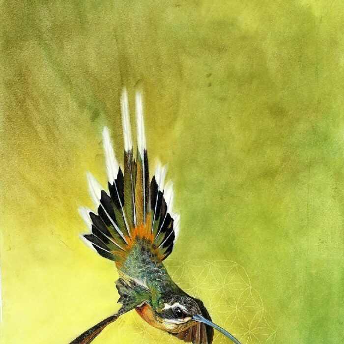 COLIBRI