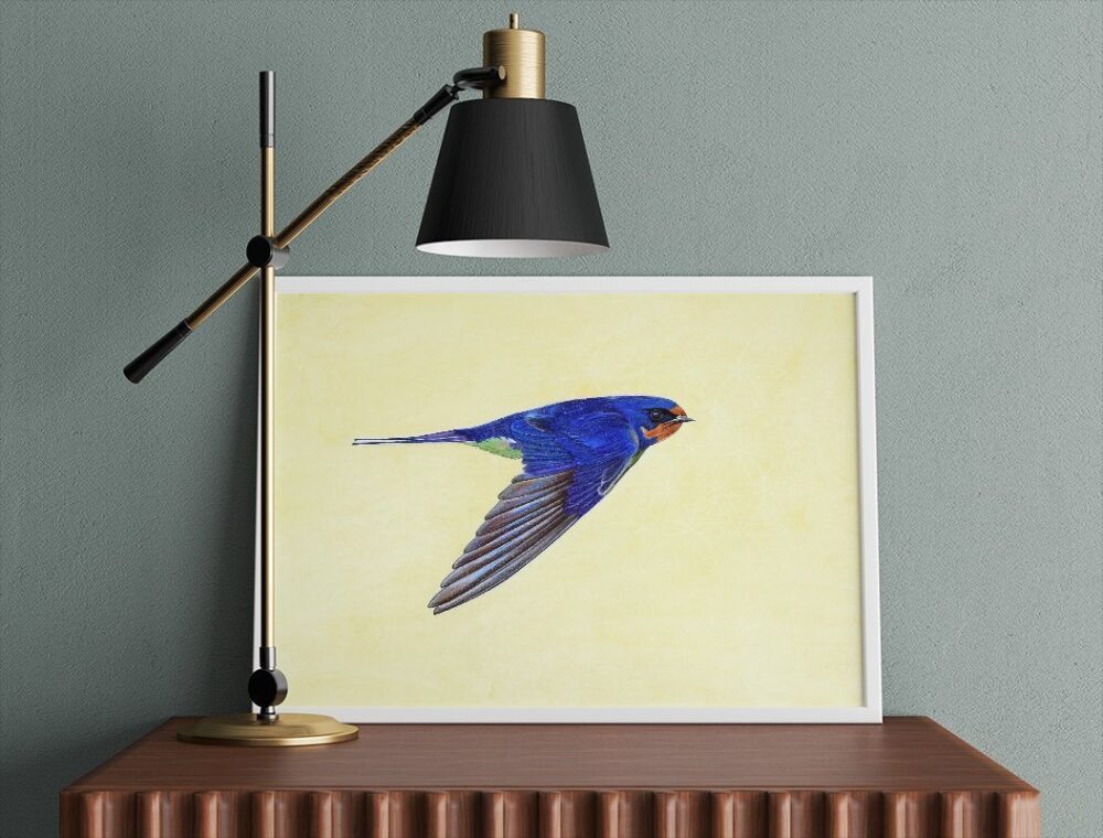 ANDORINHA AZUL-Imagem 2