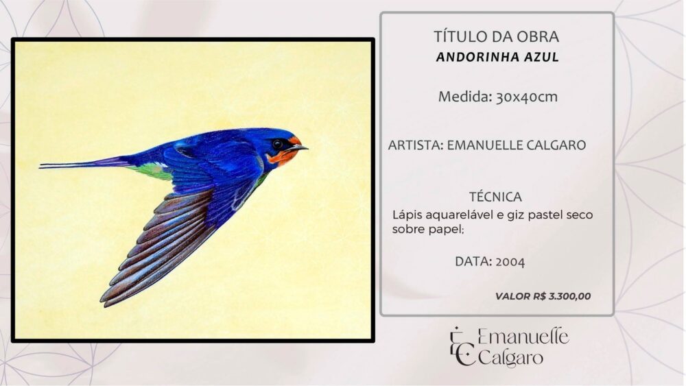 ANDORINHA AZUL-Imagem 4
