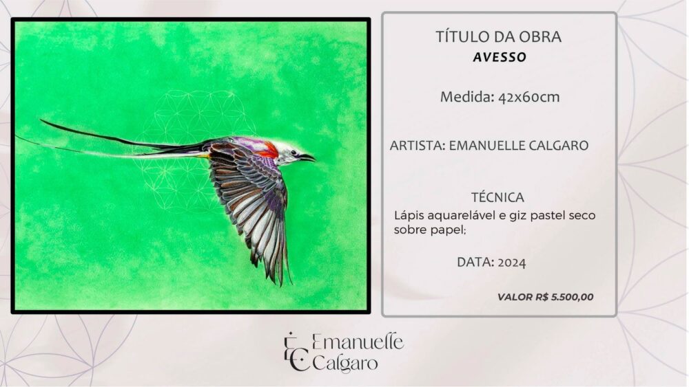 AVESSO-Imagem 4
