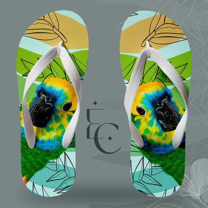 Chinelo Papagaio Verdadeiro