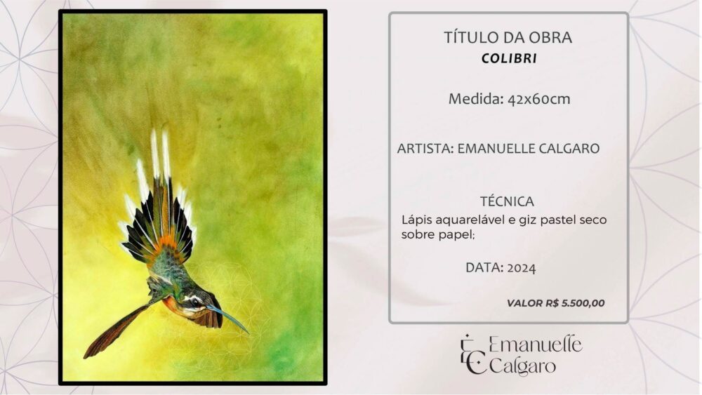 COLIBRI-Imagem 4