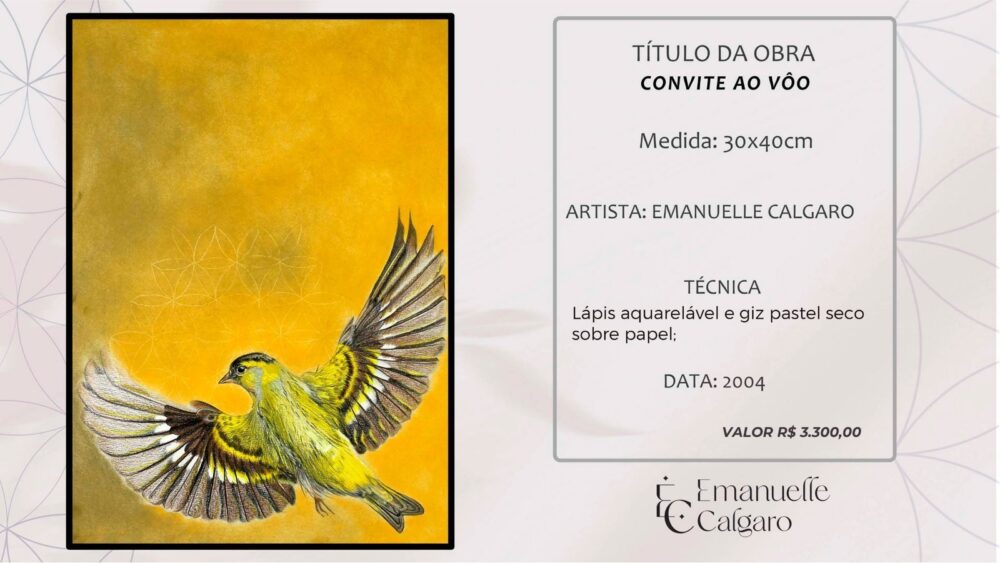 CONVITE AO VÔO-Imagem 4