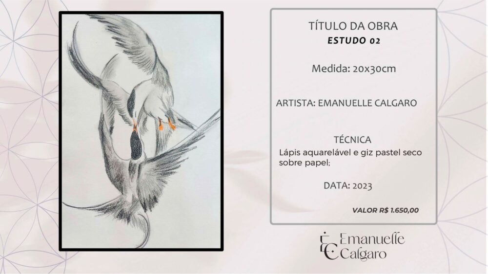 ESTUDO 02-Imagem 4