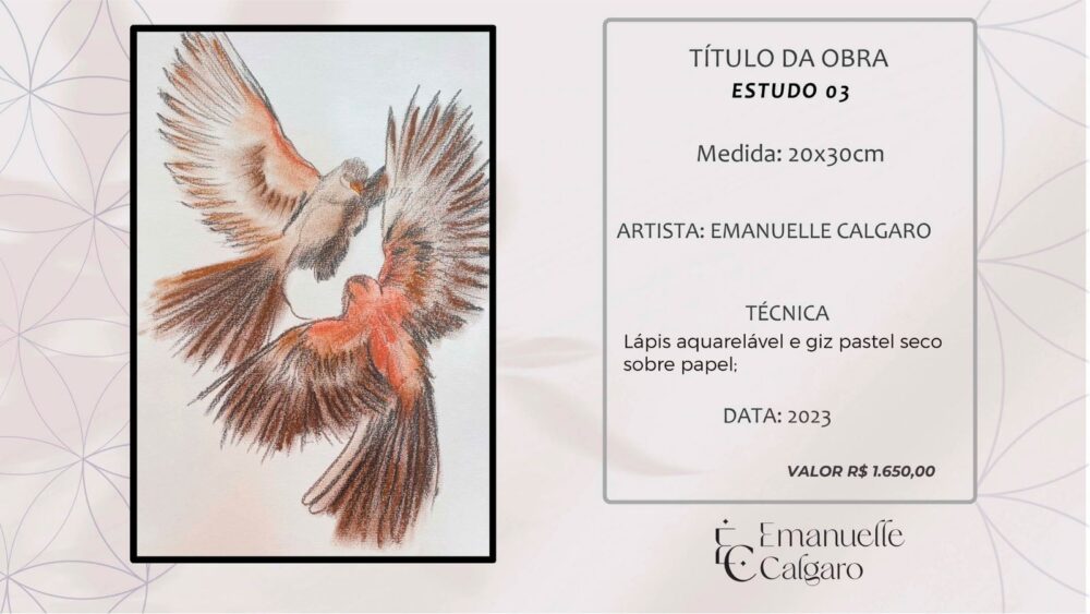 ESTUDO 03-Imagem 2