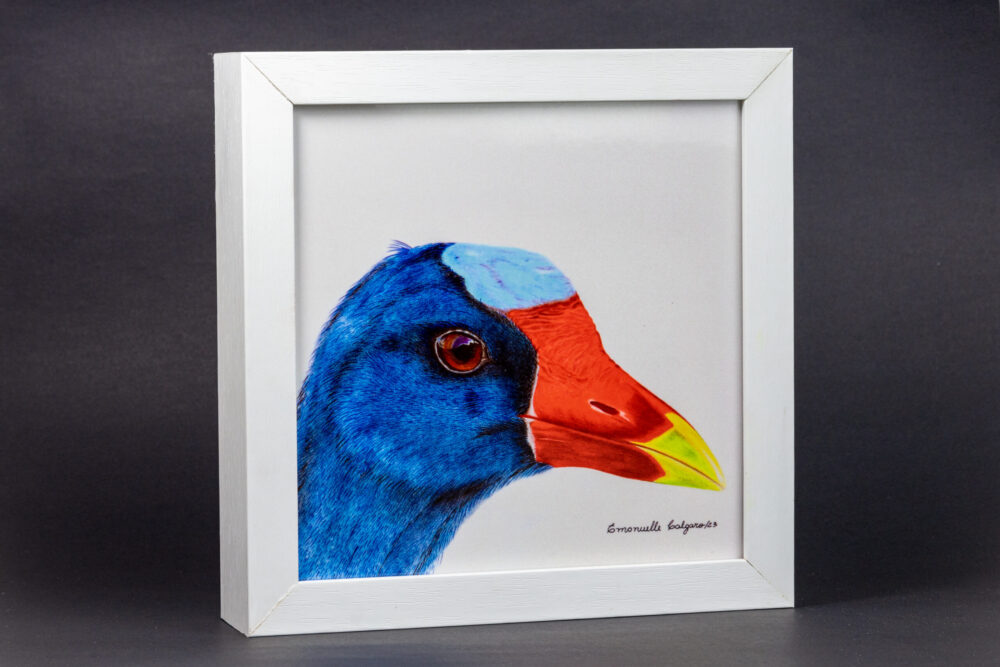 Azulejo -Frango d'agua Azul