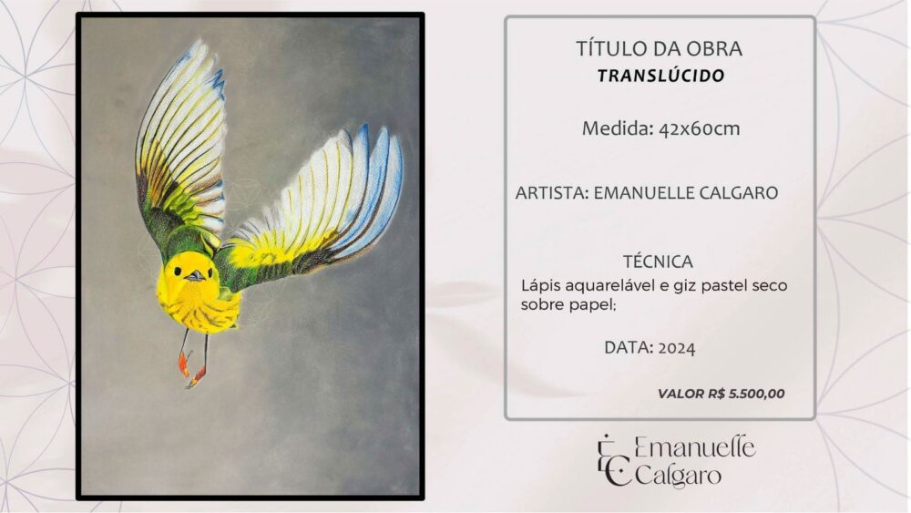 TRANSLÚCIDO-Imagem 4