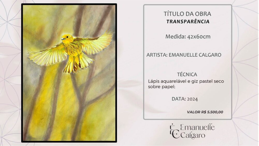 TRANSPARÊNCIA-Imagem 4