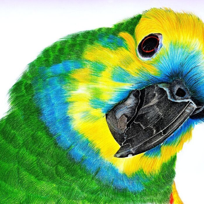 PAPAGAIO  VERDADEIRO