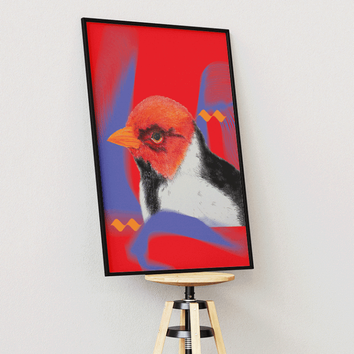 poster